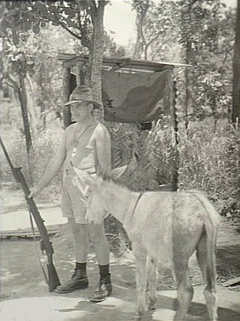 Donkey Sentry Coomalie JAN 1943